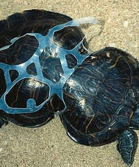 ȥ�����벻Ҫ����