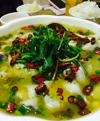 �ҵĿڴ�����-�۵���������ˮ����Ƭ