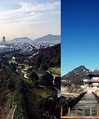 ɹֻķ羰 ෢лӮƷ