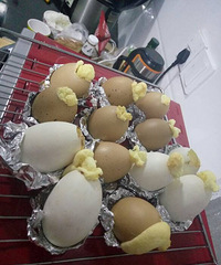 �����棡������������ĵ���