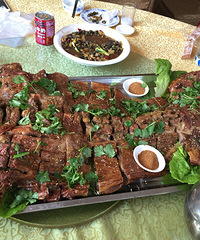 ������ȫ��Ͷ���