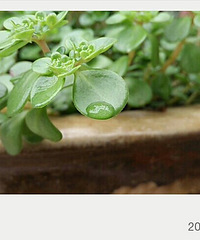 ��Щ־ͬ���ϵ���Ӱ�����ߣ�����ɾӵģ����ڷ���Լ����