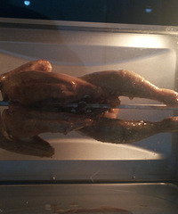 �����ʣ��С������⣬��������~~~