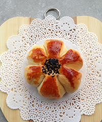 �ճ�¯��--��ɳ�������--������