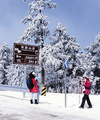 [���ſڿ���������]��֪��ȥ������