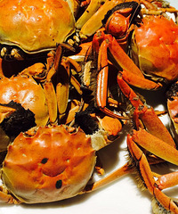 ����������Ժ��ʵ���