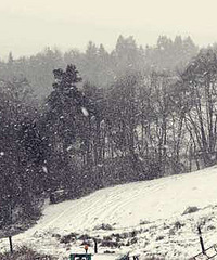 [ע������]̨������¶�Ԥ�Ƴ�����25��