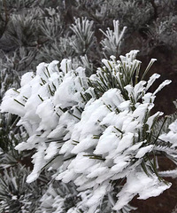 [��ѩʱ]ҪԼ���ǵ���һ���������