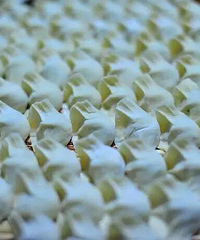 [������]������·�ŵ�6��ͳ��ζ