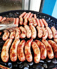 ����ô��Ҳ������