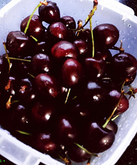 ���ڱ����ȳ��ܣ������Ϸ����ɹ�