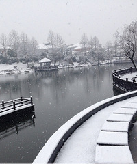 С����ѩ������