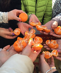 ����һ�����˾�ɢ��ؼ