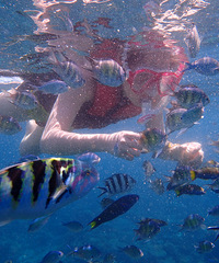 ֻ᡿˵߾ߵɳͣɳ̲Ů