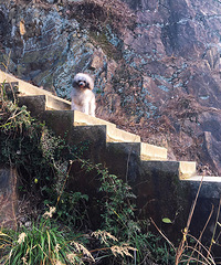 ����ô���һ��