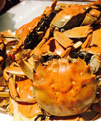 �����ַ���