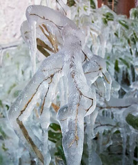 �ܿ�����ȥ��̲��  ����4.5.6������������