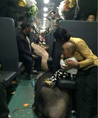 �������ؼҹ���