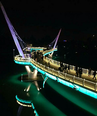 ҹ�����ް�