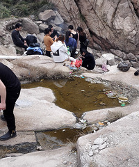 �տ����Ǹ���