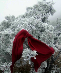 �ǻ��� ѩ̫����