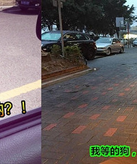 ���������н������˽ڣ�������PK���´�ͣ�