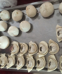 �����������֡���ʳԲ����