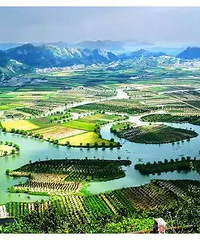 [ʵ��] �ٺ����ε�ͼ��¯ �ó̶����ź���