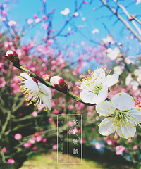 慢生活系列,一家人的慢时光—玉环