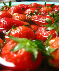 ���ԡ��Ļ�����ݮ��������Ȧ�ס�