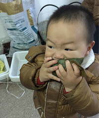 ���Ի���̨��no.7����Ҷ��������