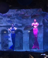 ��;���Զ����ĳ� ������ϥ�Ƕ�����