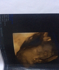 ��֪��������Ů