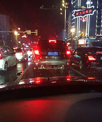 ������Ҳ��