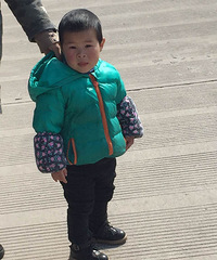 ����3�ꡰС��������·�Ͽ񱼣�����˾����æ�Ҽ��ˣ�