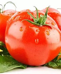 Ԥ������������Ҫ��ô��