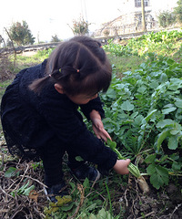 ���ܲ����ܲ�