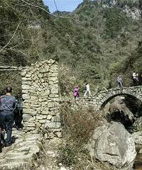 ����ŵ� ������