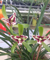 �������������