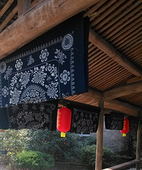旅游日记,风情北洋一日游