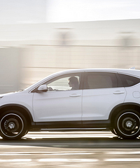 ��������Ϊ�������ÿڱ���ĳ� ȴ������Щë��