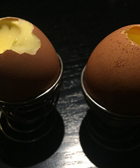 ������˹����ζ