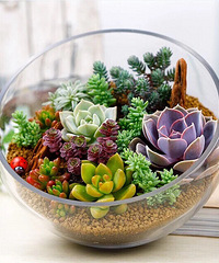 �����ɾ����񣬲��������⡱�޻������