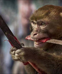 ����Ȧ��ġ����á�����