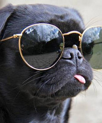 ����Ȧ��ġ����á�����