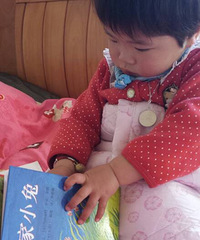 ���Ӽ�С�á����ġ�׽�Բء�