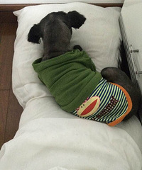 �Ҽ�����