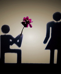 ��Ů��Ҫ��Ů����ʲô��������������