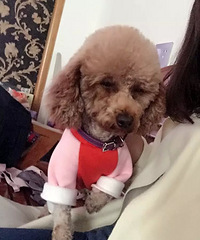 �����и���Ԫ������