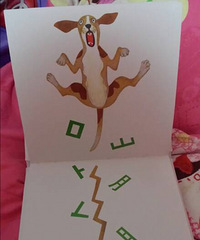 ���ģ����������ڻ汾